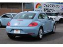 VOLKSWAGEN THE BEETLE