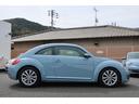 VOLKSWAGEN THE BEETLE