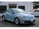 VOLKSWAGEN THE BEETLE