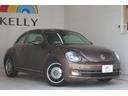 VOLKSWAGEN THE BEETLE