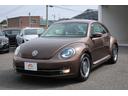VOLKSWAGEN THE BEETLE