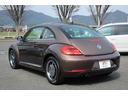 VOLKSWAGEN THE BEETLE