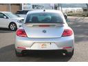 VOLKSWAGEN THE BEETLE