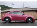 VOLKSWAGEN THE BEETLE