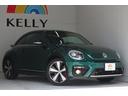 VOLKSWAGEN THE BEETLE