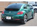 VOLKSWAGEN THE BEETLE