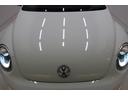 VOLKSWAGEN THE BEETLE