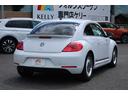 VOLKSWAGEN THE BEETLE