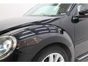 VOLKSWAGEN THE BEETLE
