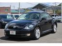 VOLKSWAGEN THE BEETLE