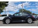 VOLKSWAGEN THE BEETLE