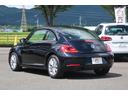 VOLKSWAGEN THE BEETLE