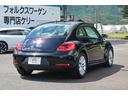 VOLKSWAGEN THE BEETLE