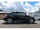VOLKSWAGEN THE BEETLE