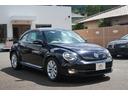 VOLKSWAGEN THE BEETLE