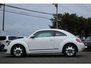 VOLKSWAGEN THE BEETLE