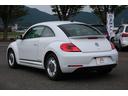 VOLKSWAGEN THE BEETLE