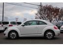 VOLKSWAGEN THE BEETLE