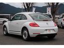 VOLKSWAGEN THE BEETLE