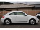 VOLKSWAGEN THE BEETLE