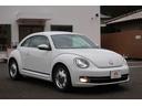 VOLKSWAGEN THE BEETLE