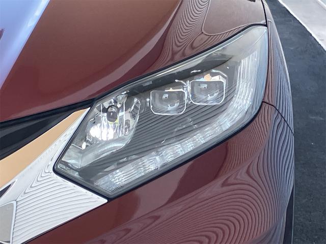 ���̓x�͓��X�̂��Ԃ������ɂȂ��Ă��������A���ɂ��肪�Ƃ��������܂��B�������茻�Ԋm�F���Ē�����悤�A��������v���܂��I