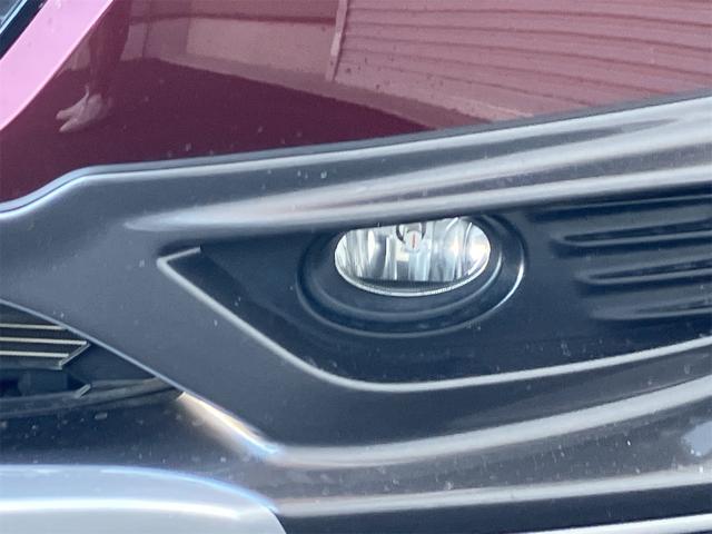 �����x�A���Ԃ��䗗���������B