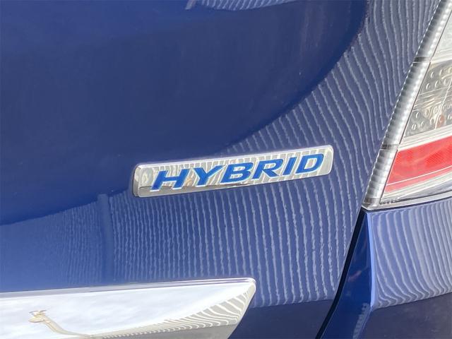 ���̓x�͓��X�̂��Ԃ������ɂȂ��Ă��������A���ɂ��肪�Ƃ��������܂��B�������茻�Ԋm�F���Ē�����悤�A��������v���܂��I