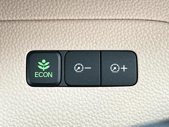 Ｎ－ＢＯＸ Ｇ・Ｌホンダセンシング　ドライブレコーダー　ＥＴＣ　バックカメラ　両側スライド・片側電動　ナビ　ＴＶ　クリアランスソナー　オートクルーズコントロール　レーンアシスト　衝突被害軽減システム　オートライト　ＬＥＤヘッドランプ（27枚目）