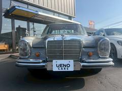 �ӥ��饹 �������ӡ��쥶�������� 0803129A30251128W001 3