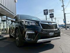 �ե��쥹���� ���ɥХ󥹡��������󡡥ѥ���ƥ���󥰡��ѥ������ɥ����ץ����Хå� 0803129A30260122W002 2