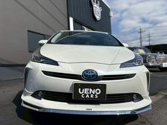 �ץꥦ�� �ӥġ���󥰥��쥯����󡡥������󡡥ѥ���ƥ���󥰡��ѥ������ɥ� 0803129A30260312W005 3