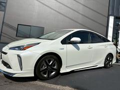 �ץꥦ�� �ӥġ���󥰥��쥯����󡡥������󡡥ѥ���ƥ���󥰡��ѥ������ɥ� 0803129A30260312W005 5