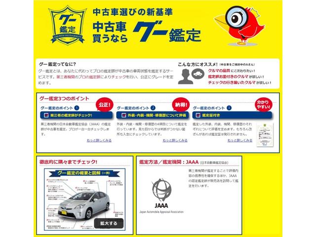 ムーヴ カスタム　Ｘスペシャル　ＳＤナビ　地デジ　ＤＶＤ再生　バックカメラ　ＬＥＤヘッドライト　フォグライト　オートエアコン　アイドリングストップ　盗難防止システム　衝突安全ボディ　スマートキー（33枚目）