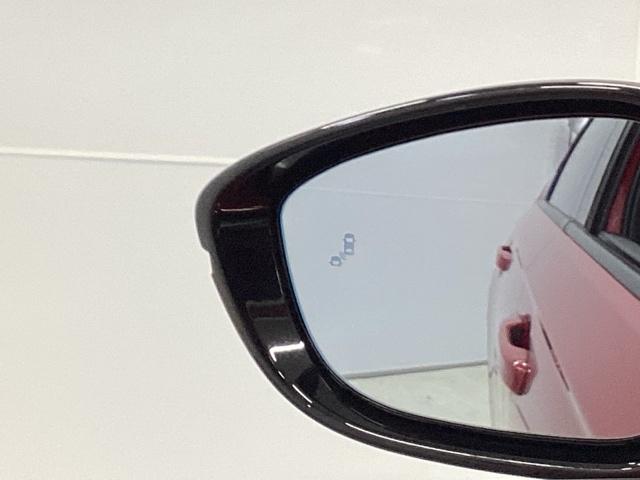 �u���C���h�X�|�b�g�C���t�H���[�V�����͑��s���A�΂ߌ��Ɏԗ������m����ƁA�h�A�~���[��s���[�̏�Ƀ}�[�N��_�����Ă��m�点���܂��B