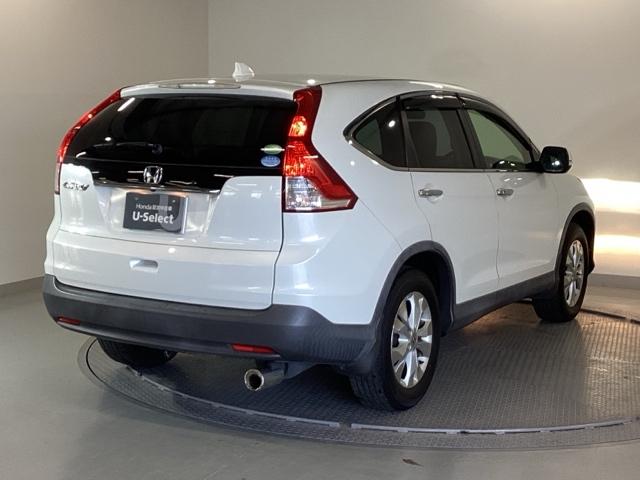 �{�f�B�J���[�́A�z���C�g�I�[�L�b�h�p�[���ŁA�N���A�ȋP�����܂Ƃ����A��i�ȃp�[���z���C�g�ł��I