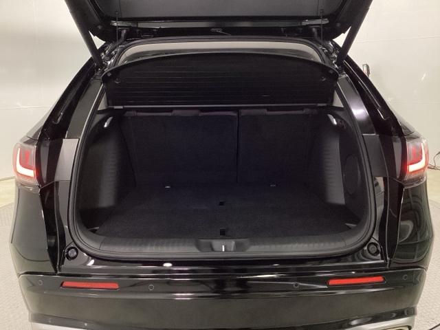 ����ȃe�[���Q�[�g�ł��B���L�A�Ⴂ���ʂő傫�ȉו��̏o�����ꂪ�ȒP�ɂȂ�܂��B