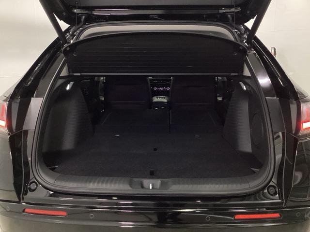 ����ȃe�[���Q�[�g�ł��B���L�A�Ⴂ���ʂő傫�ȉו��̏o�����ꂪ�ȒP�ɂȂ�܂��B