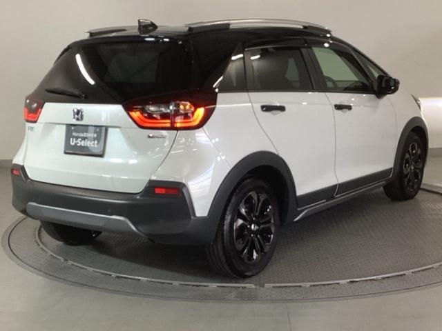 �����̂悤���Y��ɃN���[�j���O����Ă���A�ƂĂ��L���C�ȃ{�f�B�ł���B�O���͂������������Y��ł��B