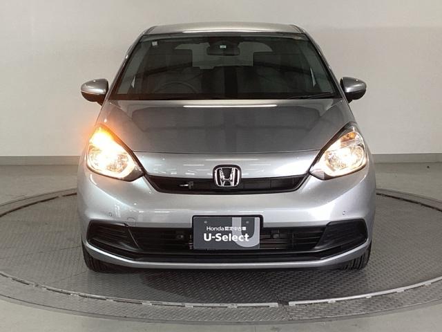 �����̂悤���Y��ɃN���[�j���O����Ă���A�ƂĂ��L���C�ȃ{�f�B�ł���B�O���͂������������Y��ł��B