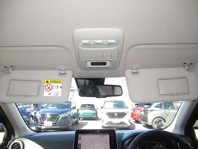 �o�C�U�[�ɂ̓~���[�t����~���O�Ƀ��C�N�E�w�A�[�̊m�F���ł���̂́A�j�����Ɋ����������ł���