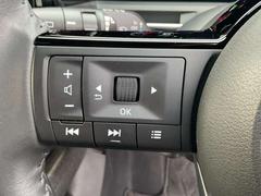 ������ ���������ǡ��쥶�����ǥ�����󡡥�󥪡��ʡ������꡼�ʥ� 0803135A20260205E001 5