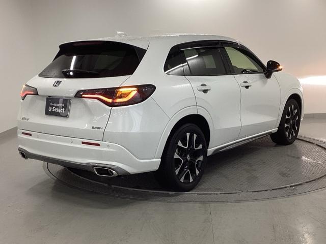 �����̂悤���Y��ɃN���[�j���O����Ă���A�ƂĂ��L���C�ȃ{�f�B�ł���B�O���͂������������Y��ł��B