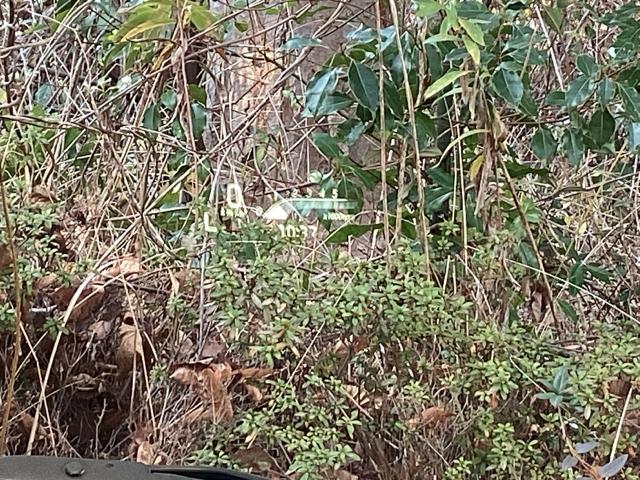 スペーシアカスタム ハイブリッドＸＳ　純正メモリーナビ　全周囲カメラ　ＥＴＣ　アラウンドモニター　両側パワ－スライドドア　ＵＳＢ入力　Ｂカメ　スマキー　ソナー　クルーズコントロール　キーレスエントリー　アイドルストップ　シートＨ　ナビＴＶ（39枚目）