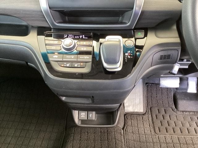 �����X�b�L���A�C���p�l�V�t�g�ł��B�p�[�L���O�u���[�L�̓t�b�g�u���[�L�^�C�v�Ȃ̂ŁA�^�]�ȂƏ���Ȃ̊Ԃ��X�b�L�����Ă��܂��B