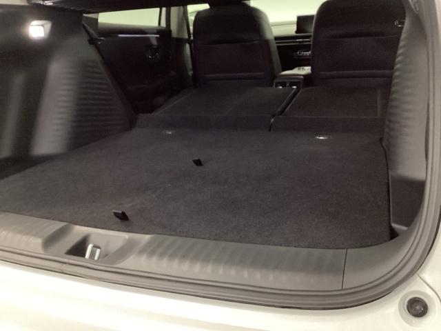 ���A�V�[�g�͊ȒP�ɓ|�������ł��A���Q�b�W���[�����L����܂��B