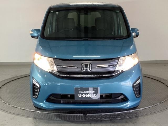 �����̂悤���Y��ɃN���[�j���O����Ă���A�ƂĂ��L���C�ȃ{�f�B�ł���B�O���͂������������Y��ł��B