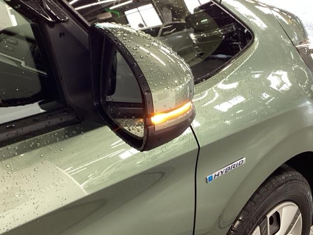 フリードハイブリッド ハイブリッド・Gホンダセンシング 純正ナビ フルセグ リアカメラ 軽減ブレーキ キーフリーシステム DVD再生可能 サイドカーテンエアバック ECON 後カメラ Aクルーズ LEDヘッドランプ シートH 横滑防止 ドライブレコーダ(32枚目)