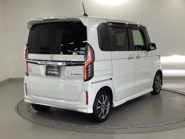 �����̂悤���Y��ɃN���[�j���O����Ă���A�ƂĂ��L���C�ȃ{�f�B�ł���B�O���͂������������Y��ł��B