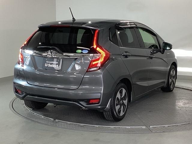 �{�f�B�J���[�́A�V���C�j���O�O���[���^���b�N�ŁA�s��̐������ꂽ�A�P�������O���[�ł��I